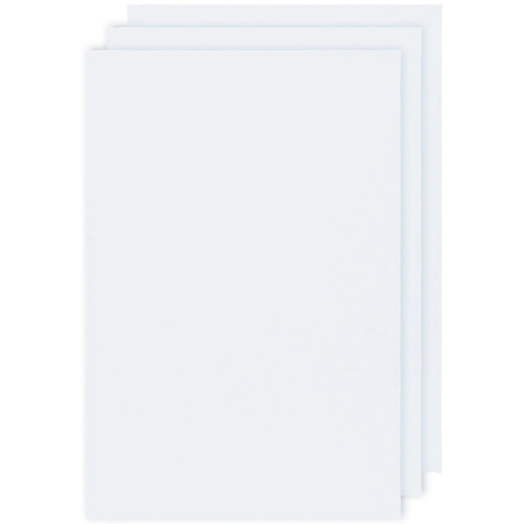 White Floursack Dishtowels Set of 3